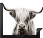 Merkloos KitchenYeah® Inductie beschermer 59x51 cm - Schotse Hooglander - Wit - Koe - Inductiebeschermer