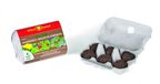 Wolf-Garten Natura Bio Zaadkogels - 6 stuks