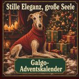 Galgo Adventskalender Stille Eleganz, große Seele