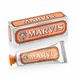 Marvis Ginger Mint Tandcrème, 25 ml