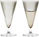 Rosendahl Grand Cru verre à champagne 20cl fumé set van 2