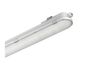 Philips LED Barre d'éclairage étanche Coreline WT120C 61W 8000lm - 840 Blanc froid | 150cm - DALI Dimmable