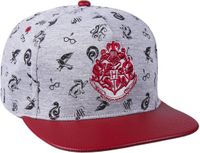 Harry Potter CERDÁ LIFE'S LITTLE MOMENTS Unisex hat Harry Potter 57-59 cm Grey