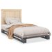 Maison Exclusive - Cadre de lit avec tête de lit grise, 100 x 200 cm, en bois de pin massif