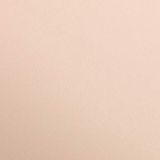 Clairefontaine 397264C Riem Maya Papier - 125 Vellen Glad Abrikoos Tekenpapier - 50x70 cm 270g