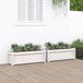 Maison Exclusive - Jardinières, 2 pièces, blanc, bois massif, pin