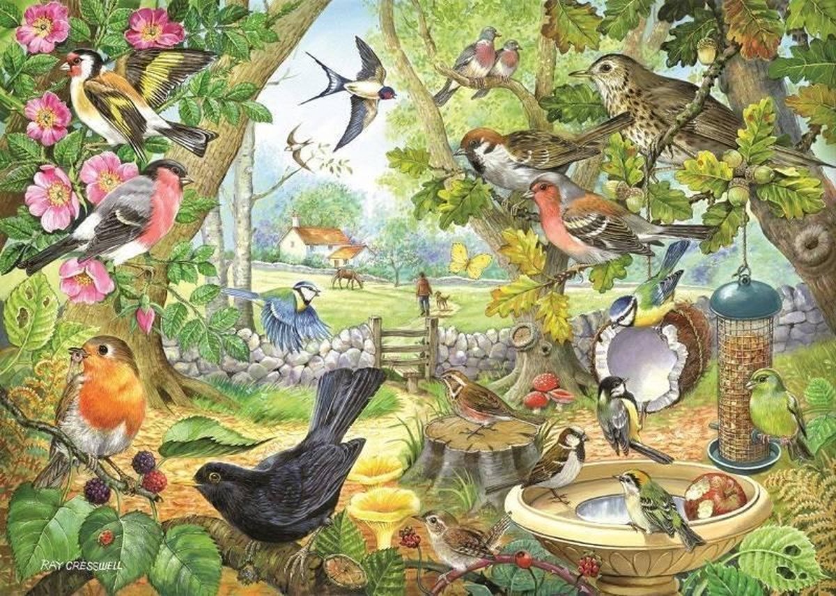 House Of Puzzles Dawn Chorus Puzzel 1000 Stukjes