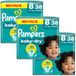 Pampers Baby Dry Maat 8 Maandbox 114 Stuks 17+ KG