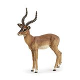 Papo - Realistische impala figuur speelgoed voor kinderen - 3 jaar en ouder - Wilde dieren collectie - Educatief spel Afrikaanse fauna - Cadeau-idee speelgoed voor meisjes en jongens - 11 x 8,5 x 3 cm