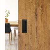 SOTECH 127199 knop & greep voor kasten Roestvrijstaal 50 mm