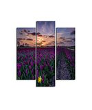 Homemania Muurfoto, paars, 3 stuks, natuur en landschappen per woonkamer, kinderkamer, meerkleurig, 57 x 0,3 x 60 cm, HM203MDF201, MDF