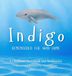 Indigo Remembered the Way Home - Hardcover