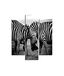 Homemania Wandafbeelding, zebra, 3-delig, dieren, woonkamer, slaapkamer, meerkleurig, 57 x 0,3 x 60 cm, HM203MDF261, MDF