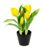 Flair Flower Kunsttulpen in Pot Real-Touch Bloemen Lentedecoratie Pasen Decoratie Tulp Tulpenboeket Latex Kunsttulp Enkele Bloemen Kunstbloemen Bloemen Tafeldecoratie Decoratie Stambloem Zijden Bloem, geel