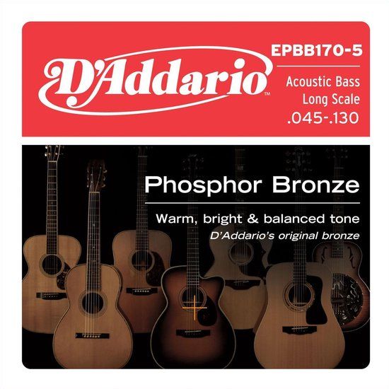 D'ADDARIO EPBB170-5 snaren voor 5-snarige akoestische basgitaar