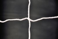 Powershot Netsportique Handbal en beachhandbal schokabsorberend net 4 mm - Wit