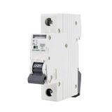 Automatische schakelaar 4,5 KA 1 pole C 50 A voor elektrische beveiliging, stroomcircuituitschakeling en installatieveiligheid.