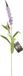Bellatio Design Kunstbloem bloesemtak ridderspoor - 76 cm - paars