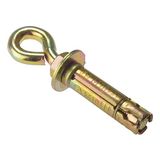 Forgefix Ankerbout Eye M10 5 per zak (D11) 5EYE10