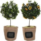 Stopper de porte plante - 1 kilo - jaune/blanc - 18 x 18 x 26 cm
