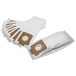 vhbw sacs d'aspirateur pour AEG Vampyrette AS 201, AS 206, Energica AS 230, Rosso Pass, 10 pc.