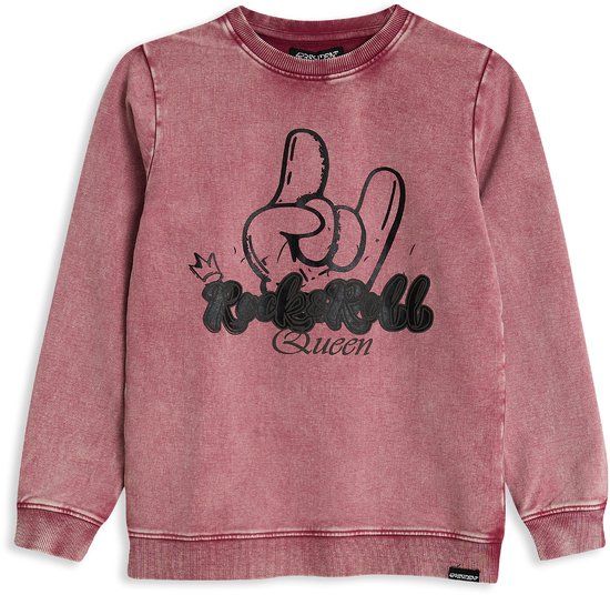4PRESIDENT Sweater meisjes - Purple - Maat 164