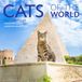 Cats Yen Press Cats of the World Wall Calendar 2027