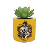 Harry Potter Half Moon Bay Plantenpot voor binnen | Keramische plantenpot en kamerpotten | Binnenpotten voor planten | Decoratieve plantenpotten voor binnen | Geschenken voor binnen | Huffelpuf
