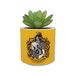 Harry Potter Half Moon Bay Plantenpot voor binnen | Keramische plantenpot en kamerpotten | Binnenpotten voor planten | Decoratieve plantenpotten voor binnen | Geschenken voor binnen | Huffelpuf
