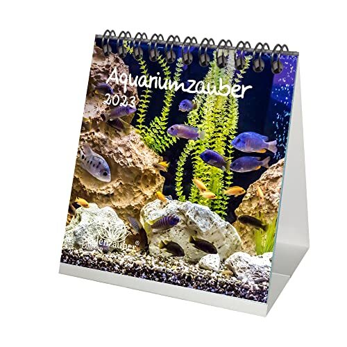 Seelenzauber Aquariummagie tafelkalender voor 2023 formaat 10 cm x 10 cm dieren in aquarium en onderwater -