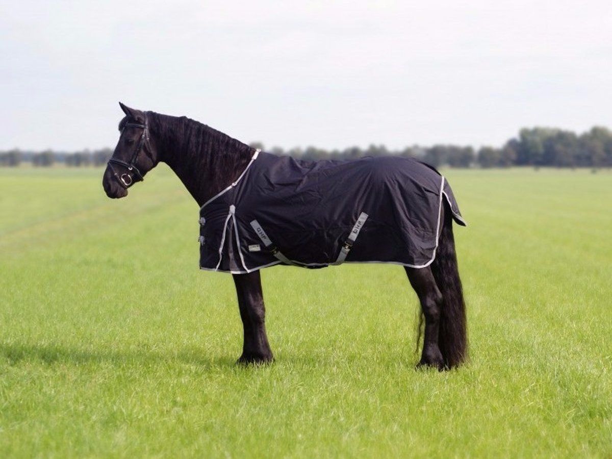 QHP Regendeken Turnout XL 0 grs - Black - 205