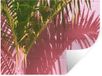 Merkloos StickerSnake Muursticker - Plant - Zomer - Tropisch - Roze - 80x60 cm