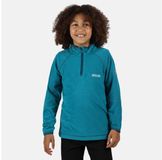 Regatta Kinderen Loco Lichtgewicht Mini gestreepte fleece met halve rits Outdoortrui blauw