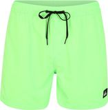 Quiksilver Everyday Volley 15'' Zwembroek Groen L Man