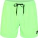 Quiksilver Everyday Volley 15'' Zwembroek Groen L Man
