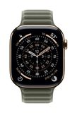 Apple Watch Band Gris, Sauge Polyester S/M