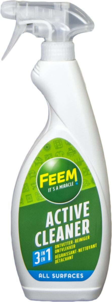 Feem Active Cleaner 500 ml