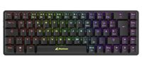 Sharkoon PureWriter W65 Gaming RF Sans fil QWERTZ Allemand Noir