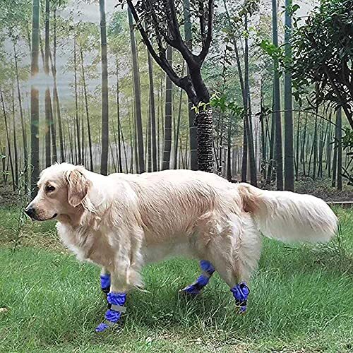 HaiMa 4Pcs Hond Regen Sneeuw Boot Waterdichte Anti-Slip Winter Pet Dog Schoenen Regen Sneeuw Laarzen Schoenen Dikke Warme Hond Sokken Reflecterend - Lred