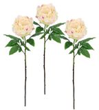 Kunstbloem peonia boerenroos pioenrozen tak enkele bloem steelbloem bloemenkunst bloemen bijwerk voor kunstbloemen boeketten en boeketten bloemstukken decoratieve bloemen, 3-delige set, perzik