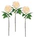 Kunstbloem peonia boerenroos pioenrozen tak enkele bloem steelbloem bloemenkunst bloemen bijwerk voor kunstbloemen boeketten en boeketten bloemstukken decoratieve bloemen, 3-delige set, perzik
