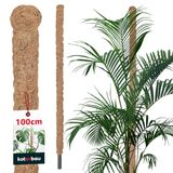 KOTARBAU® Kokosstok, Plantenstok, ⌀ 2,5 x 100 cm, Kokosstaaf, Klimhulp Monstera, Bruin, Kokosvezel