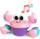 BRIGHT STARTS Babyspeelgoed 6M+ Muzikale krab om achteraan te jagen, speelgoed voor grove en fijne motoriek, obstakelsensoren, roze