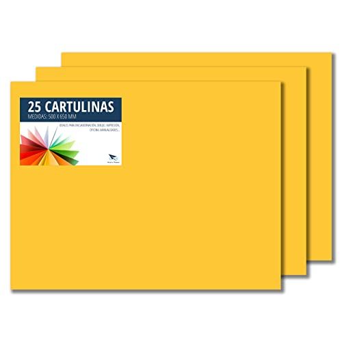 RAYLU PAPER Raylu Paper® - 50 x 65 cm, 25 stuks, 180 g/m², Gualda