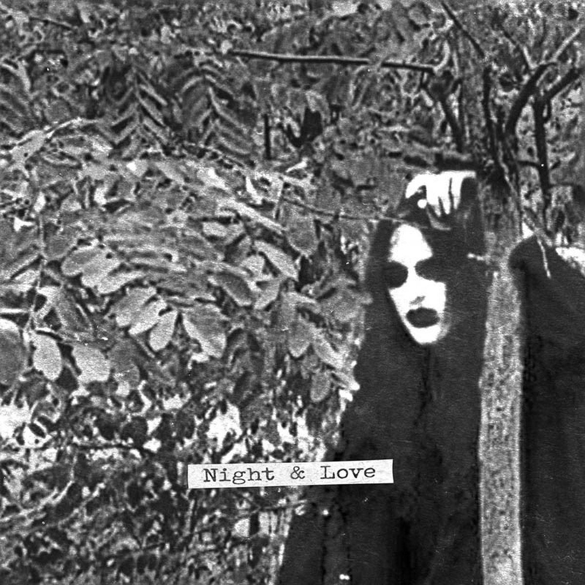 Konkurrent Night & Love