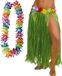 Merkloos / Sans marque Bol Hawaii verkleed hoela rokje en bloemenkrans met led - volwassenen - groen - tropisch themafeest