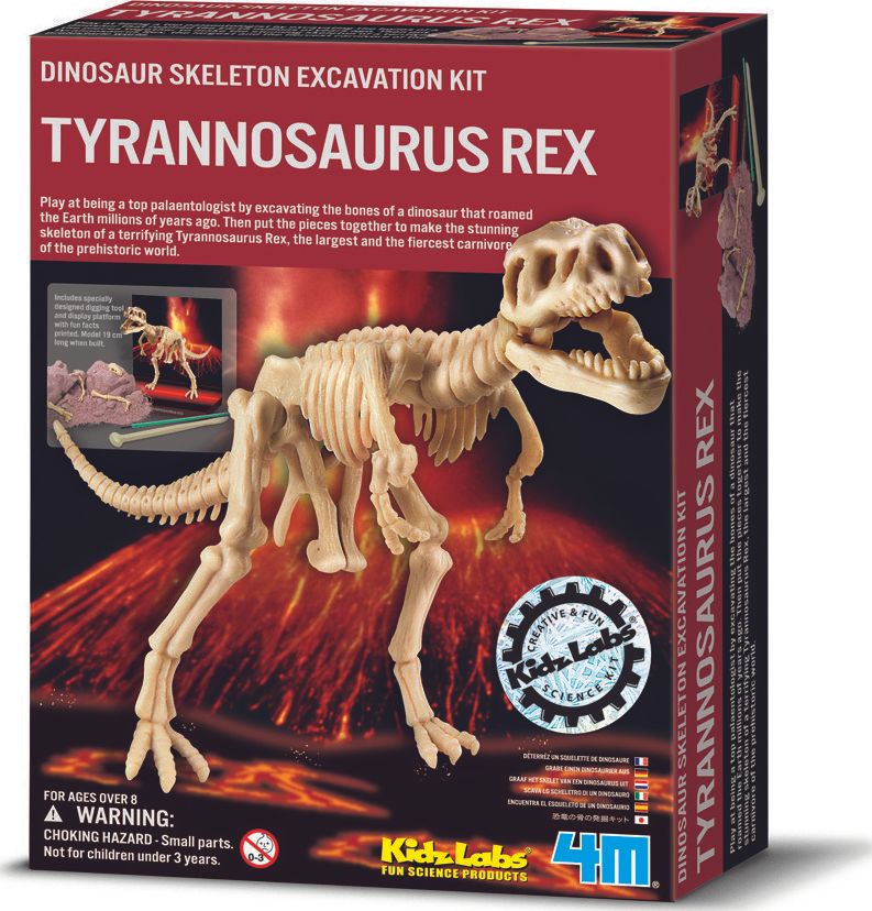 4M Fun Science Scava Un Fossile T-Rex - Educatief speelgoed - Unisex