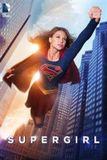 Warner Bros. Entertainment Supergirl - Season 1 (Import) DVD
