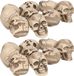 Merkloos / Sans marque Faram B.V.B.A. Horror/Halloween doodskoppen/schedels - 18x - wit/zwart - kunststof - 5 cm