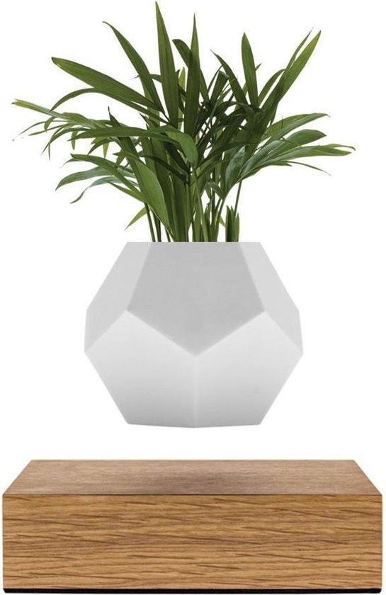 FLYTE LYFE Planter - zwevende plantenbak